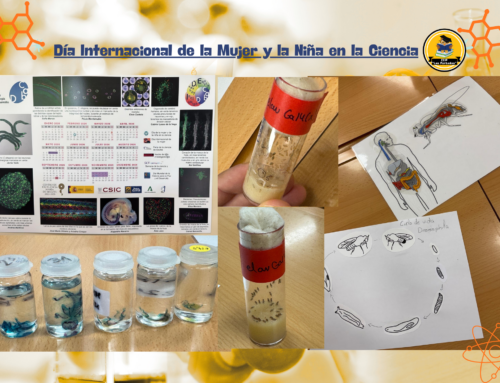 Talleres del Centro Andaluz de Biología del Desarrollo (CABD)